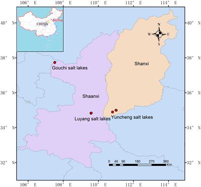 Macro and Microelements Drive Diversity and Composition of Prokaryotic and Fungal Communities in Hypersaline Sediments and Saline–Alkaline Soils